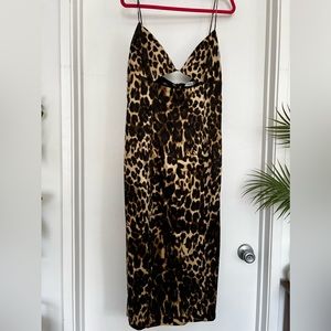 Zara Animal Print Dress